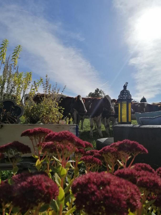 Petite Maison Sur La Colline Du Gibloux: 1Chambre,1 Salon Et Salle De Bain Prives Au Rez De Chausse, Piscine Exterieur Et Bbq , Le Chatelard  Экстерьер фото